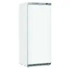 Armario frigorífico congelador - Mod CN 6 - Refrigeración estática - N 1 puerta - Capacidad Lt 600 - Temperatura -18º/-23ºC - Dimensiones cm L 77,5 x P 72,9 x h 190