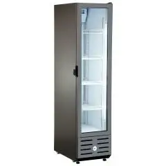 FV300S