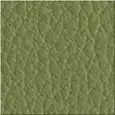 ACABADO COLOR VERDE