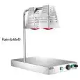 PLANO CALIENTE CON LÁMPARAS DE INFRARROJOS - MOD. PCI4717 - Estructura de acero inox - N.2 lámparas de infrarrojos - Termostato ajustable 30°/90°C - Potencia W 250+250+250 - Alimentación V230 50/60 Hz - Medidas cm A 60 x F 40 x h 68