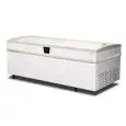 EXPOSITOR REFRIGERADO - MOD. EVO 200 GT - TERMOMETRO DIGITAL - Capacidad LT 808 - Temperatura -18°/-23°C  - Medidas cm L 202 x P 94,4 x h 84,8 - CE