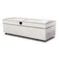 EXPOSITOR REFRIGERADO - MOD. EVO 250 GT HGD - TERMOMETRO DIGITAL - Capacidad LT 1182 - Temperatura -18°/-23°C  - Medidas cm L 252 x P 94,4 x h 84,8 - CE