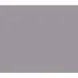 COLOR GRIS