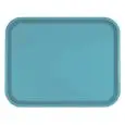 BANDEJA PARA COMEDOR - MOD. 100303 - MODELO CLÁSICO RECTANGULAR - DE POLIPROPILENO - CONFECCIÓN DE 30 PZ - MEDIDAS cm A 45,6 X F 35,6 - Homologación CE