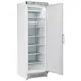ARMARIO FRIGORÍFICO CONGELADOR DE CHAPA BARNIZADA Y ABS - Mod TN 390 - REFRIGERACIÓN ESTÁTICA - N. 1 PUERTA - CAPACIDAD LT 300 - TEMPERATURA -12º/-22ºC - Dim. cm L 60 x P 63 x h 187 - CE
