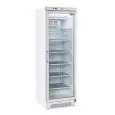 EXPOSITOR VERTICAL REFRIGERADO - ESTÁTICO - Mod TNG 390 - N. 1 PUERTA - CAPACIDAD LT 300 - TEMPERATURA -15°/-20°C - Dim. cm L 60 x P 63 x h 187 - CE
