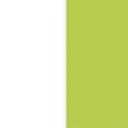 ASIENTO COLOR BLANCO + VERDE PISTACHO