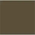 COLOR CHOCOLATE BROWN
