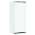 Armario frigorífico congelador - Mod CN 6 - Refrigeración estática - N 1 puerta - Capacidad Lt 600 - Temperatura -18º/-23ºC - Dimensiones cm L 77,5 x P 72,9 x h 190