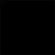 COLOR NEGRO