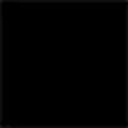 Color interior negro