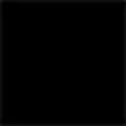 Color interior negro
