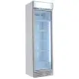 ARMARIO FRIGORÍFICO DE CHAPA BARNIZADA - PARA BEBIDAS - ESTÁTICO CON AGITADOR - Mod. GXI390E - CAPACIDAD Lt 390 - N. 1 PUERTA ACRISTALADA - TEMPERATURA 0/+10°C - DIM. cm L 60 x P 65,5 x H 195 - CE