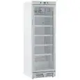 ARMARIO FRIGORÍFICO DE CHAPA BARNIZADA - PARA BEBIDAS - ESTÁTICO CON AGITADOR - Mod. GXI390XI - CAPACIDAD Lt 390 - N. 1 PUERTA ACRISTALADA - TEMPERATURA 0/+10°C - Medidas cm L 59,5 x P 65,5 x H 183 - Homologación CE