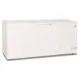 Congelador horizontal con tapa ciega modelo GELO 650 PS, temperatura -18°C / -24°C, capacidad bruta 567 Lt, dimensiones externas 1805 x 750 x 880 mm.