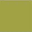 COLOR LIME GREEN
