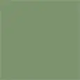 COLOR MALVA GREEN