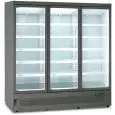 ARMARIO MURAL REFRIGERADO - VENTILADO - Mod. MR 250 TN4 GRY - CAPACIDAD BRUTA Lt 2248 - TEMPERATURA +1/+10°C - DIM. cm L 250,8 x P 71 x H 200,3