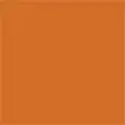 COLOR PUMPKIN ORANGE