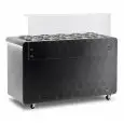VITRINA PARA HELADO - MOD. X-CREAM 10 C - TEMPERATURA -20°/-5° C